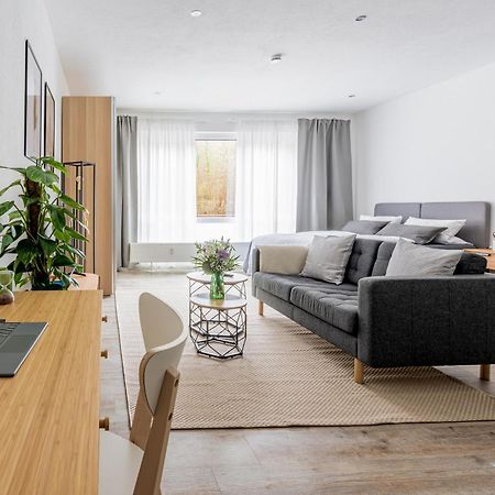 Apart4Me Modern Apartment Geislingen Zentral Mit Parkplatz Ґайслінґен-ан-дер-Штайґе Екстер'єр фото